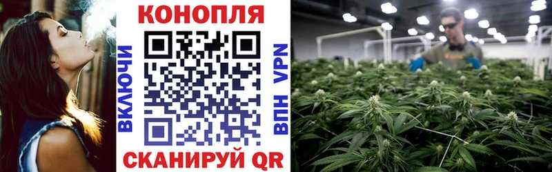 Хочу наркоту Шахунья Псилоцибиновые грибы Канабис Лсд 25 Меф ГАШ COCAIN