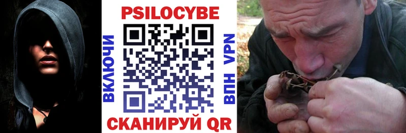 где можно купить   Шахунья  Галлюциногенные грибы Cubensis 