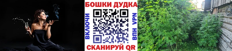 Шишки марихуана VHQ  OMG вход  Шахунья  даркнет сайт 